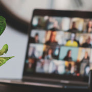 8-Week Group Online Sessions